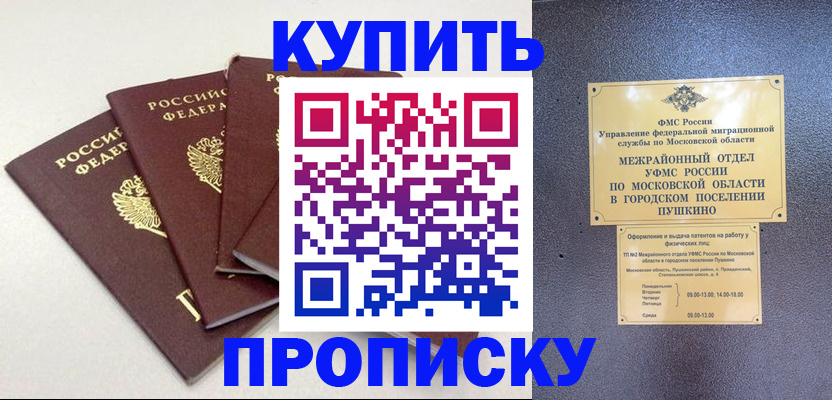 временная регистрация собственник в Северске